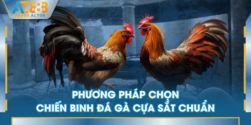 Phương pháp chọn chiến binh đá gà cựa sắt chuẩn Phương pháp chọn chiến binh đá gà cựa sắt chuẩn